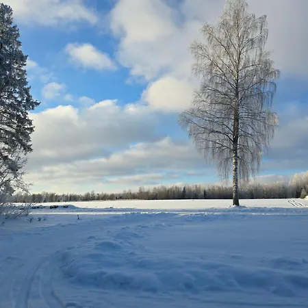 Dom wakacyjny Tammetalu Puhkemaja *