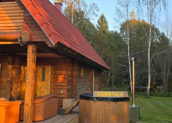 Dom wakacyjny Tammetalu Puhkemaja