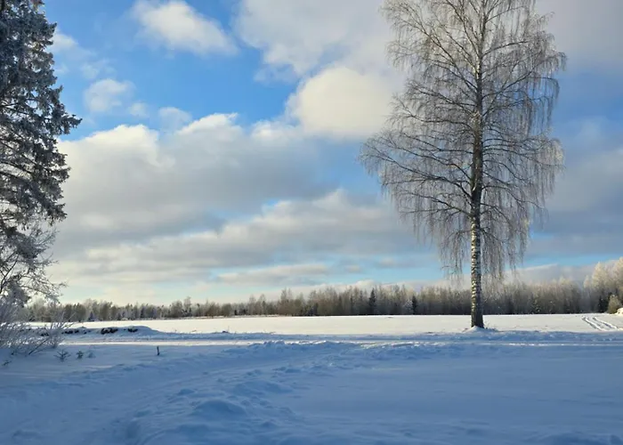 Prázdninový dům Tammetalu Puhkemaja *